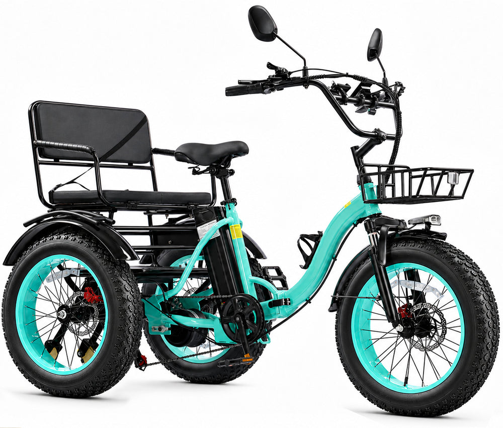Easingo两座电动三轮车,750W(峰值1000W),48V 20Ah,黑色款,展示车身与座椅细节
