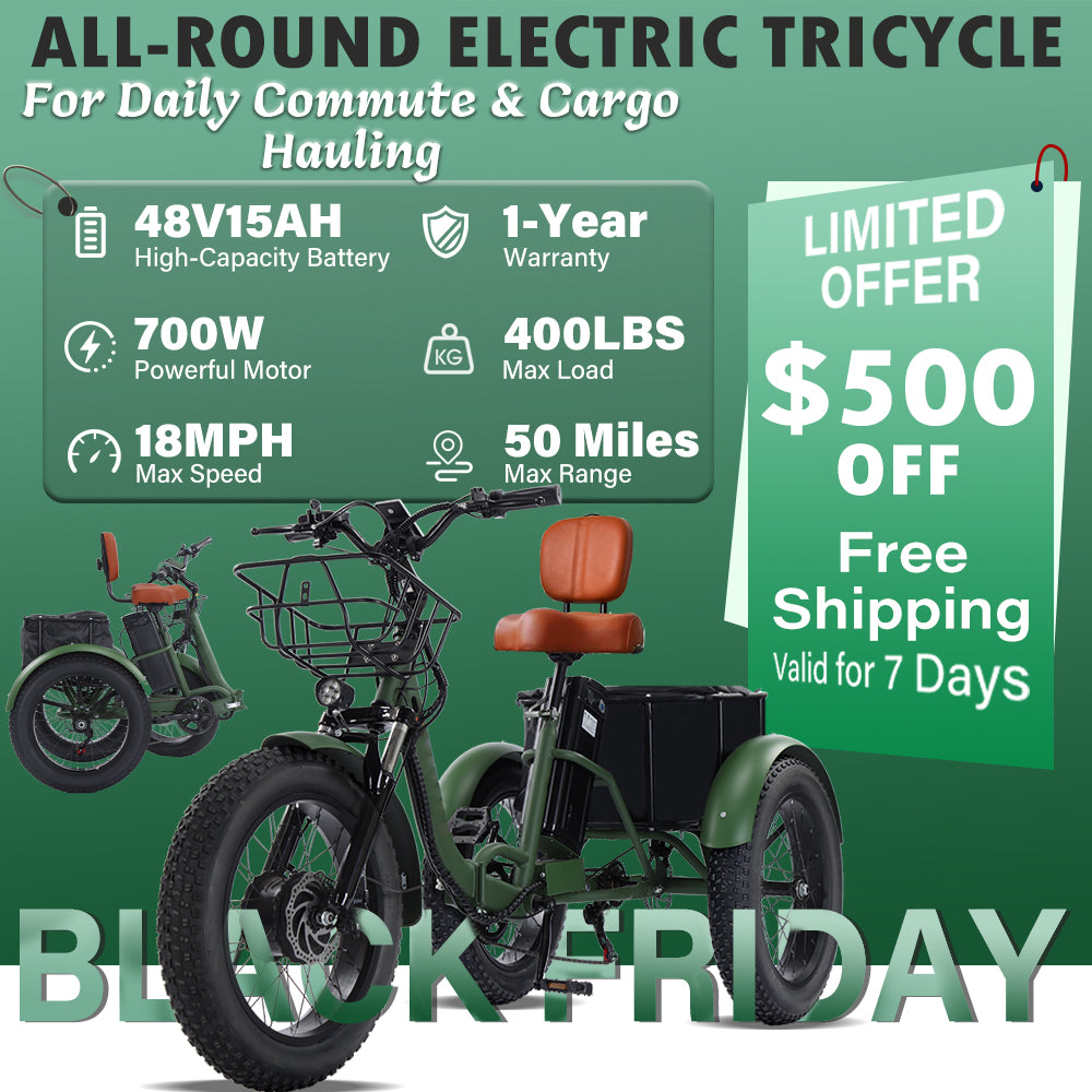 Easingo BK-005 Foldable Fat Tire Electric Tricycle | 700W 48V 15Ah - Easingo Bike