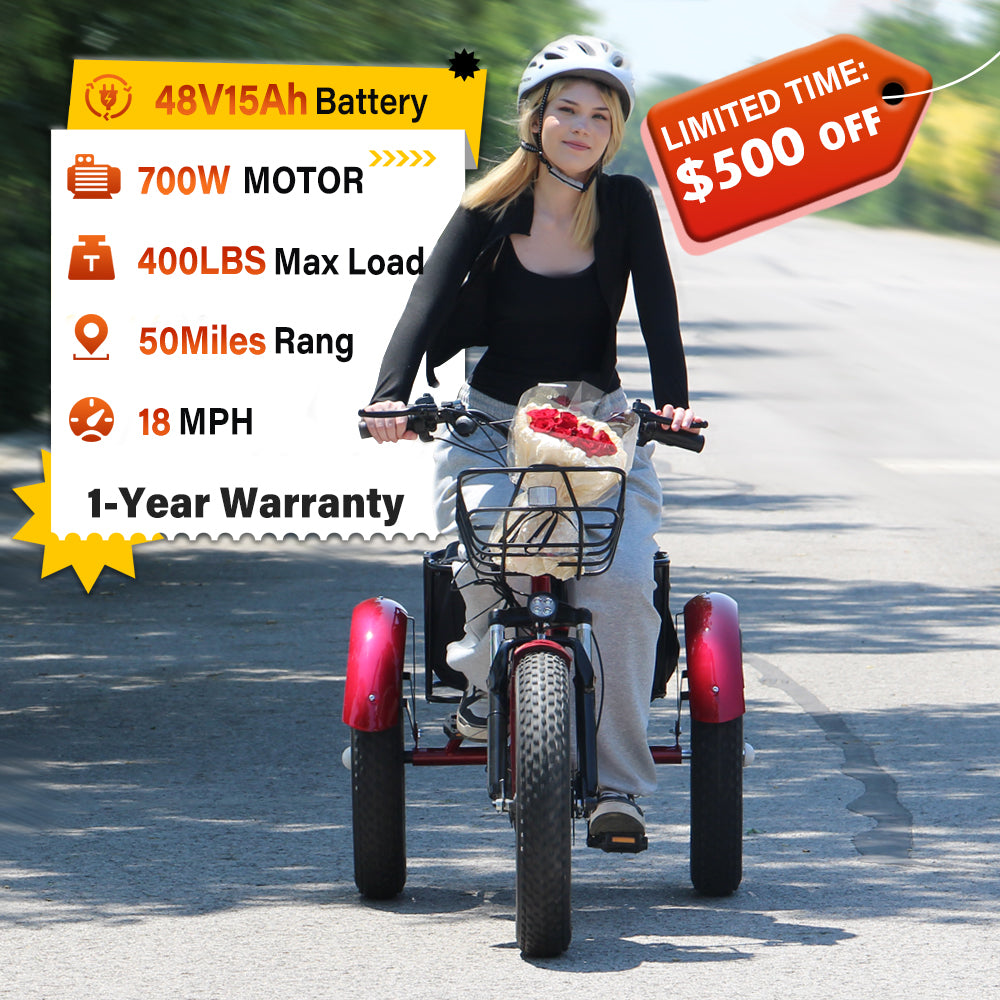 Easingo BK-005 Foldable Fat Tire Electric Tricycle | 700W 48V 15Ah - Easingo Bike