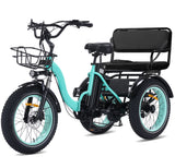 Easingo Two-Seater Electric Trike | 500W (1000W Peak) 48V 20Ah | 60-Mile Range - Easingo Bike