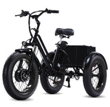 Easingo BK-004 Triciclo Eléctrico de Carga con Neumáticos Anchos - Estructura Duradera de Acero de Alto Carbono