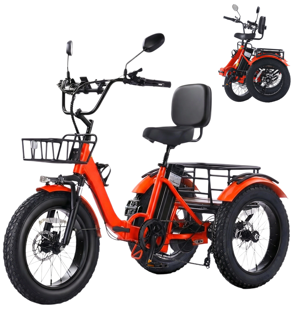 Easingo Z139 Electric Tricycle for Adults | 750W Fat Tire 3-Wheel E-Bike - Easingo Bike