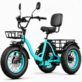 成人用Easingo Z141电动三轮车，750W动力，胖胎设计，三轮电动自行车，适合成人出行。