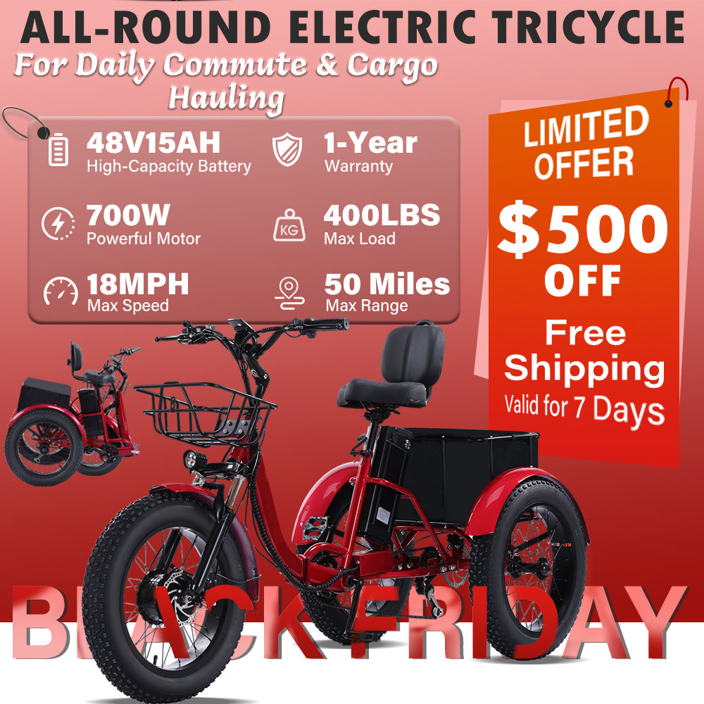 Easingo BK-005 Foldable Fat Tire Electric Tricycle | 700W 48V 15Ah - Easingo Bike