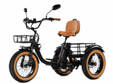 Easingo 139 折叠电动三轮车，750W（峰值1000W）48V 15.6Ah，适合美国版本，展现车身和轮子细节